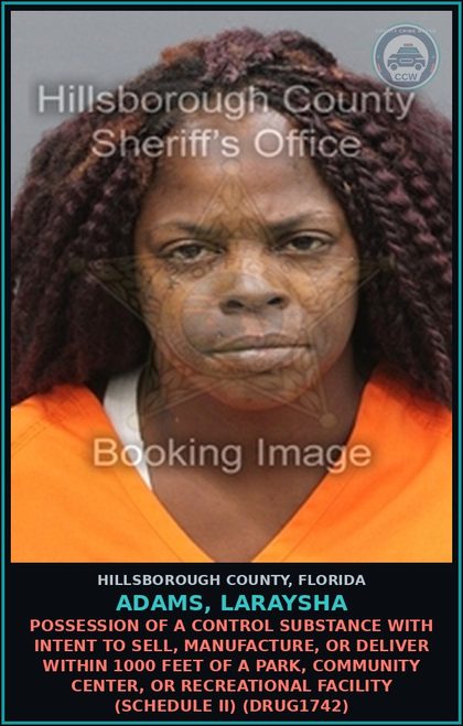 CCW arrest card for ADAMS, LARAYSHA in Hillsborough County: POSSESSION OF A CONTROL SUBSTANCE WITH INTENT TO SELL, MANUFACTURE, OR DELIVER WITHIN 1000 FEET OF A PARK, COMMUNITY CENTER, OR RECREATIONAL FACILITY (SCHEDULE II) (DRUG1742)