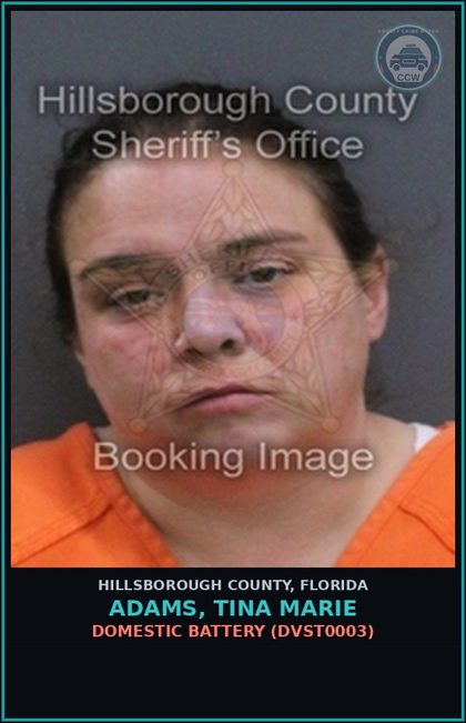 CCW arrest card for ADAMS, TINA MARIE in Hillsborough County: DOMESTIC BATTERY (DVST0003)