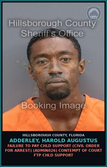 CCW arrest card for ADDERLEY, HAROLD AUGUSTUS in Hillsborough County: FAILURE TO PAY chld SUPPORT (CIVIL ORDER FOR ARREST) (ADMIN026) CONTEMPT OF COURT FTP chld SUPPORT