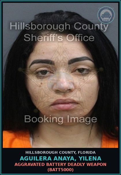 CCW arrest card for AGUILERA ANAYA, YILENA in Hillsborough County: AGGRAVATED BATTERY DEADLY WEAPON (BATT5000)