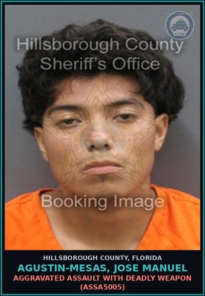 CCW arrest card for AGUSTIN-MESAS, JOSE MANUEL in Hillsborough County: AGGRAVATED ASSAULT WITH DEADLY WEAPON (ASSA5005)