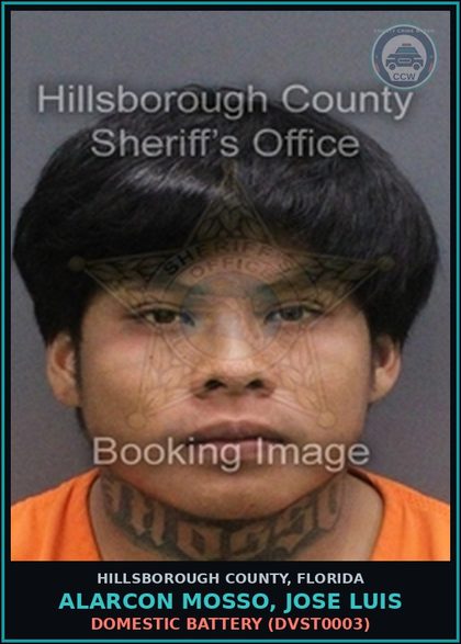 CCW arrest card for ALARCON MOSSO, JOSE LUIS in Hillsborough County: DOMESTIC BATTERY (DVST0003)