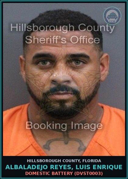 CCW arrest card for ALBALADEJO REYES, LUIS ENRIQUE in Hillsborough County: DOMESTIC BATTERY (DVST0003)