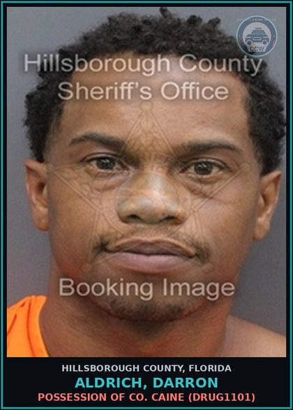 CCW arrest card for ALDRICH, DARRON in Hillsborough County: FLEEING AND ATTEMPTING TO ELUDE A POLICE OFFICER (TRAF3039)