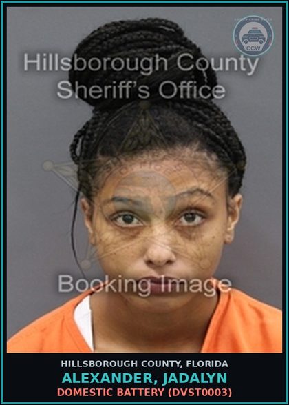 CCW arrest card for ALEXANDER, JADALYN in Hillsborough County: DOMESTIC BATTERY (DVST0003)