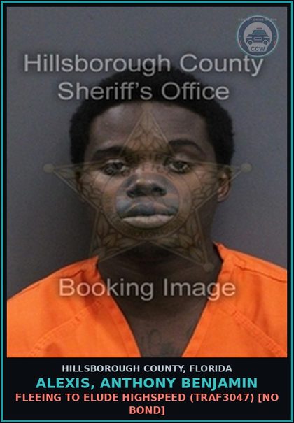 CCW arrest card for ALEXIS, ANTHONY BENJAMIN in Hillsborough County: FLEEING TO ELUDE HIGHSPEED (TRAF3047) [NO BOND]