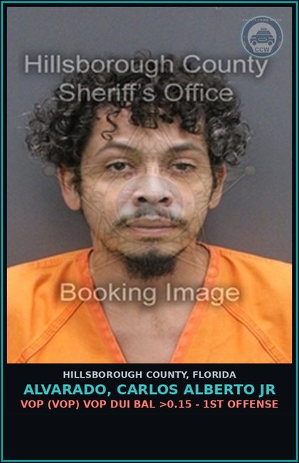 CCW arrest card for ALVARADO, CARLOS ALBERTO JR in Hillsborough County: VOP (VOP) VOP DUI BAL >0.15 - 1ST OFFENSE