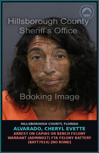 CCW arrest card for ALVARADO, CHERYL EVETTE in Hillsborough County: ARREST ON CAPIAS OR BENCH FELONY WARRANT (ADMIN027) FTA DISORDERLY INTOXICATION (MISC0018)