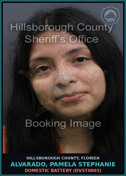 CCW arrest card for ALVARADO, PAMELA STEPHANIE in Hillsborough County: DOMESTIC BATTERY (DVST0003)