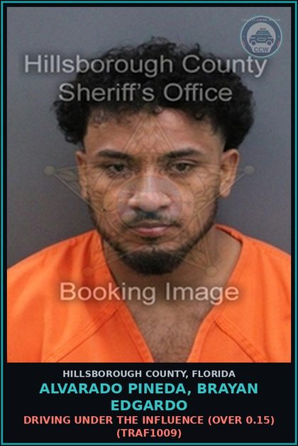CCW arrest card for ALVARADO PINEDA, BRAYAN EDGARDO in Hillsborough County: DRIVING UNDER THE INFLUENCE (OVER 0.15) (TRAF1009)