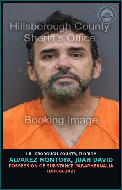 CCW arrest card for ALVAREZ MONTOYA, JUAN DAVID in Hillsborough County: POSSESSION OF DRUG PARAPHERNALIA (DRUG8102)