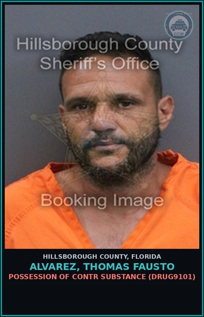 CCW arrest card for ALVAREZ, THOMAS FAUSTO in Hillsborough County: POSSESSION OF contr substance (DRUG9101)