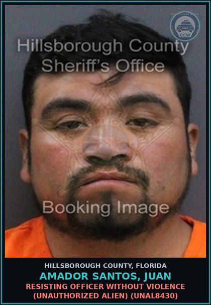 CCW arrest card for AMADOR SANTOS, JUAN in Hillsborough County: RESISTING OFFICER WITHOUT VIOLENCE (UNAUTHORIZED ALIEN) (UNAL8430)