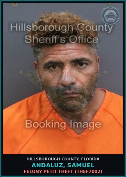 CCW arrest card for ANDALUZ, SAMUEL in Hillsborough County: FELONY PETIT THEFT (THEF7002)