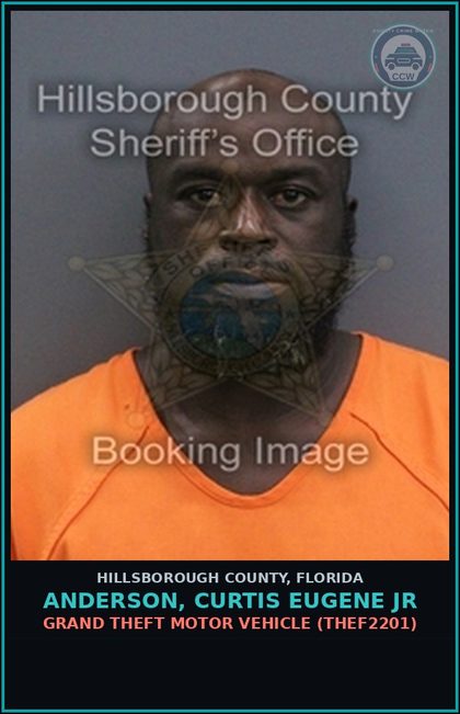 CCW arrest card for ANDERSON, CURTIS EUGENE JR in Hillsborough County: GRAND THEFT MOTOR VEHICLE (THEF2201)