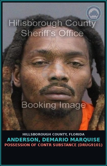 CCW arrest card for ANDERSON, DEMARIO MARQUISE in Hillsborough County: POSSESSION OF contr substance (DRUG9101)