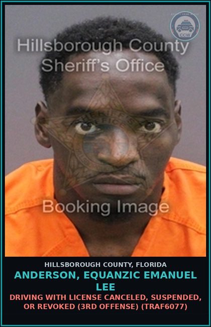 CCW arrest card for ANDERSON, EQUANZIC EMANUEL LEE in Hillsborough County: DRIVING WITH LICENSE CANCELED, SUSPENDED, OR REVOKED (3RD OFFENSE) (TRAF6077)