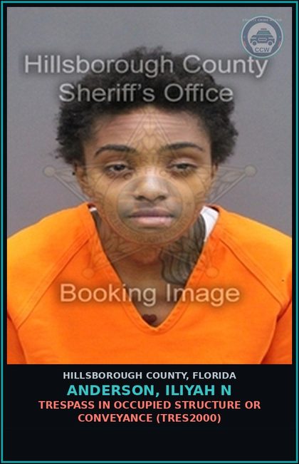 CCW arrest card for ANDERSON, ILIYAH N in Hillsborough County: TRESPASS IN OCCUPIED STRUCTURE OR CONVEYANCE (TRES2000)