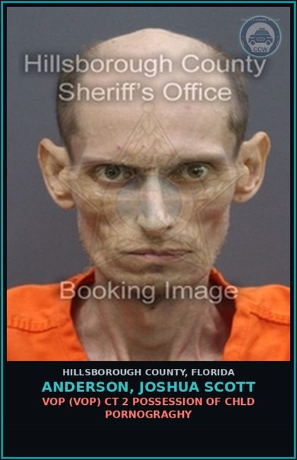 CCW arrest card for ANDERSON, JOSHUA SCOTT in Hillsborough County: VOP (VOP) CT 2 POSSESSION OF chld PORNOGRAGHY