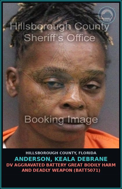 CCW arrest card for ANDERSON, KEALA DEBRANE in Hillsborough County: DV AGGRAVATED BATTERY GREAT BODILY HARM AND DEADLY WEAPON (BATT5071)