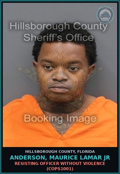 CCW arrest card for ANDERSON, MAURICE LAMAR JR in Hillsborough County: RESISTING OFFICER WITHOUT VIOLENCE (COPS1001)