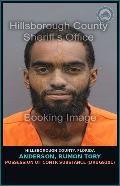 CCW arrest card for ANDERSON, RUMON TORY in Hillsborough County: POSSESSION OF contr substance (DRUG9101)