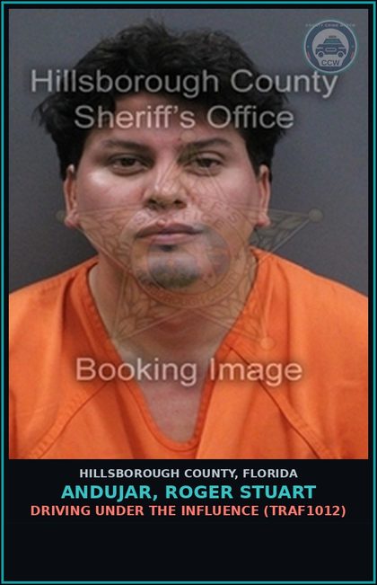 CCW arrest card for ANDUJAR, ROGER STUART in Hillsborough County: DRIVING UNDER THE INFLUENCE (TRAF1012)