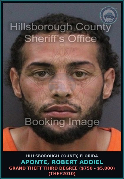 CCW arrest card for APONTE, ROBERT ADDIEL in Hillsborough County: GRAND THEFT THIRD DEGREE ($750 - $5,000) (THEF2010)