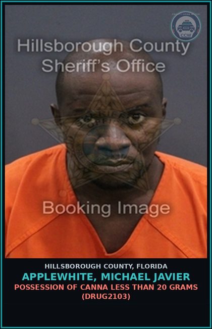 CCW arrest card for APPLEWHITE, MICHAEL JAVIER in Hillsborough County: FALSE IMPRISONMENT (KIDN5003)