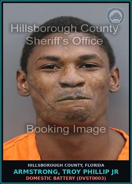 CCW arrest card for ARMSTRONG, TROY PHILLIP JR in Hillsborough County: DOMESTIC BATTERY (DVST0003)