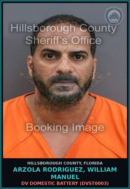 CCW arrest card for ARZOLA RODRIGUEZ, WILLIAM MANUEL in Hillsborough County: DV DOMESTIC BATTERY (DVST0003)