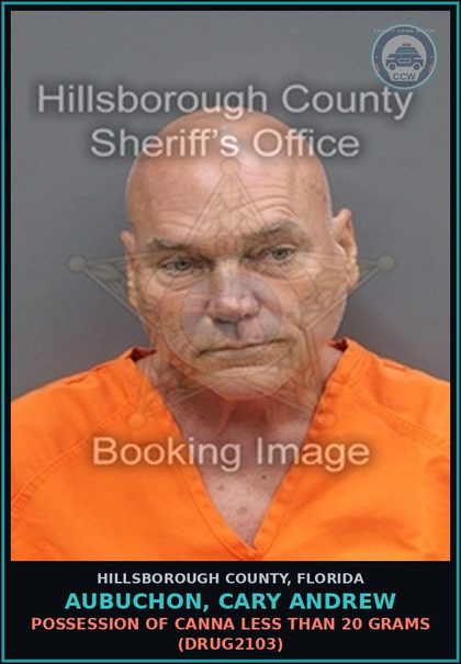CCW arrest card for AUBUCHON, CARY ANDREW in Hillsborough County: TRESPASS ON PROPERTY OTHER THAN STRUCTURE OR CONVEYANCE (TRES4006)