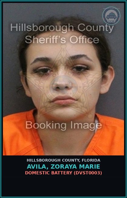 CCW arrest card for AVILA, ZORAYA MARIE in Hillsborough County: DOMESTIC BATTERY (DVST0003)