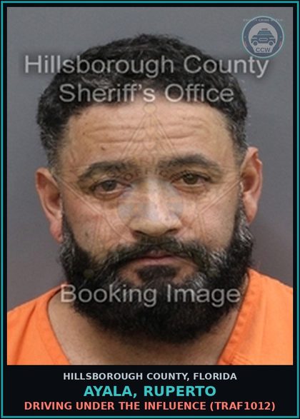 CCW arrest card for AYALA, RUPERTO in Hillsborough County: DRIVING UNDER THE INFLUENCE (TRAF1012)