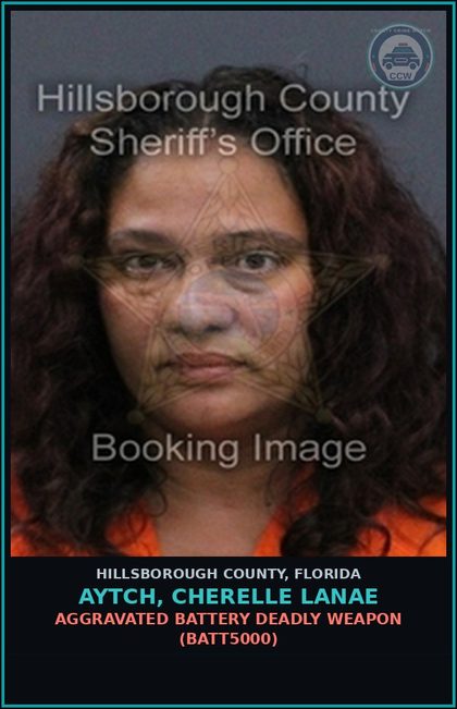 CCW arrest card for AYTCH, CHERELLE LANAE in Hillsborough County: AGGRAVATED BATTERY DEADLY WEAPON (BATT5000)