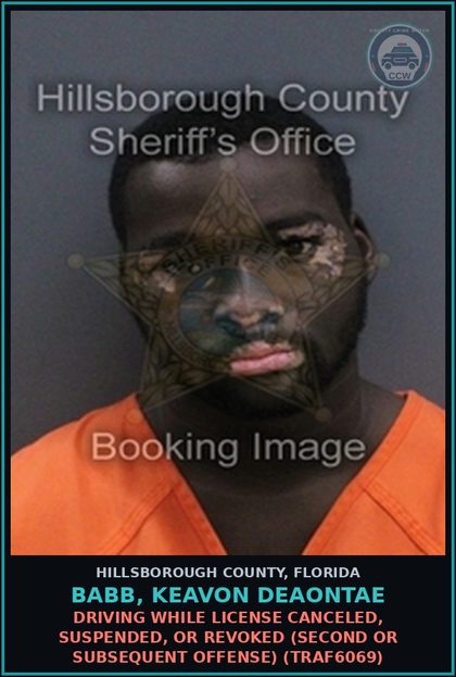 CCW arrest card for BABB, KEAVON DEAONTAE in Hillsborough County: DRIVING WHILE LICENSE CANCELED, SUSPENDED, OR REVOKED (SECOND OR SUBSEQUENT OFFENSE) (TRAF6069)