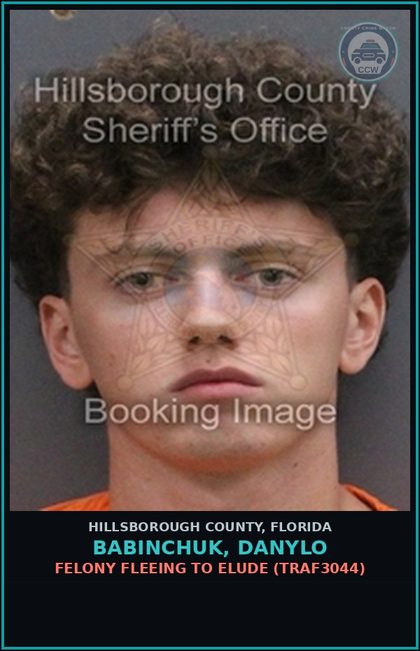 CCW arrest card for BABINCHUK, DANYLO in Hillsborough County: FELONY FLEEING TO ELUDE (TRAF3044)