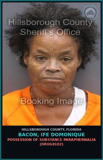 CCW arrest card for BACON, IFE DOMONIQUE in Hillsborough County: POSSESSION OF DRUG PARAPHERNALIA (DRUG8102)
