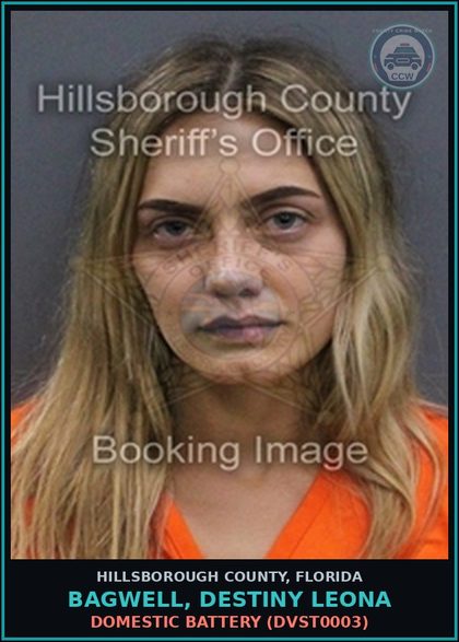 CCW arrest card for BAGWELL, DESTINY LEONA in Hillsborough County: DOMESTIC BATTERY (DVST0003)