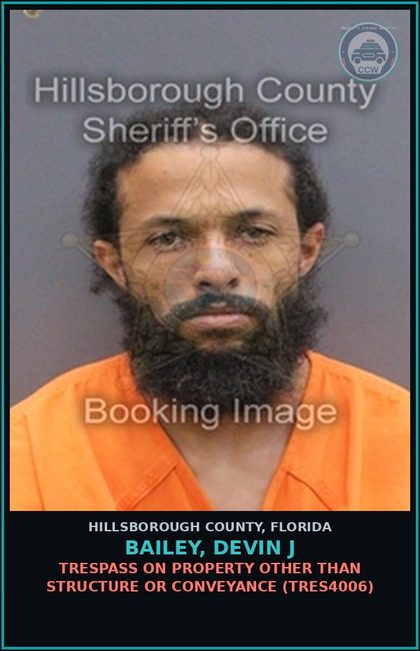 CCW arrest card for BAILEY, DEVIN J in Hillsborough County: TRESPASS ON PROPERTY OTHER THAN STRUCTURE OR CONVEYANCE (TRES4006)