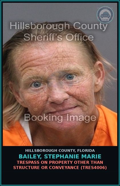 CCW arrest card for BAILEY, STEPHANIE MARIE in Hillsborough County: TRESPASS ON PROPERTY OTHER THAN STRUCTURE OR CONVEYANCE (TRES4006)