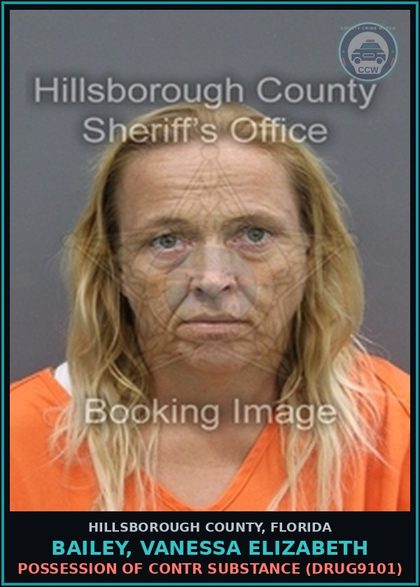CCW arrest card for BAILEY, VANESSA ELIZABETH in Hillsborough County: POSSESSION OF contr substance (DRUG9101)