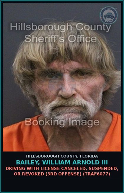 CCW arrest card for BAILEY, WILLIAM ARNOLD III in Hillsborough County: DRIVING WITH LICENSE CANCELED, SUSPENDED, OR REVOKED (3RD OFFENSE) (TRAF6077)