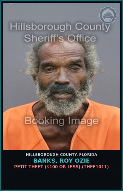 CCW arrest card for BANKS, ROY OZIE in Hillsborough County: PETIT THEFT ($100 OR LESS) (THEF1011)