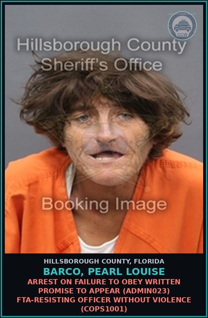 CCW arrest card for BARCO, PEARL LOUISE in Hillsborough County: ARREST ON FAILURE TO OBEY WRITTEN PROMISE TO APPEAR (ADMIN023) FTA-RESISTING OFFICER WITHOUT VIOLENCE (COPS1001)