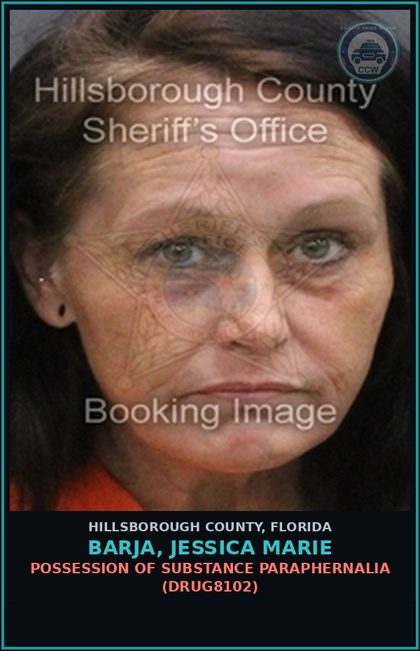 CCW arrest card for BARJA, JESSICA MARIE in Hillsborough County: POSSESSION OF DRUG PARAPHERNALIA (DRUG8102)