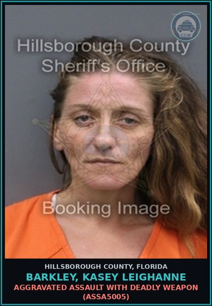 CCW arrest card for BARKLEY, KASEY LEIGHANNE in Hillsborough County: DOMESTIC BATTERY (DVST0003)