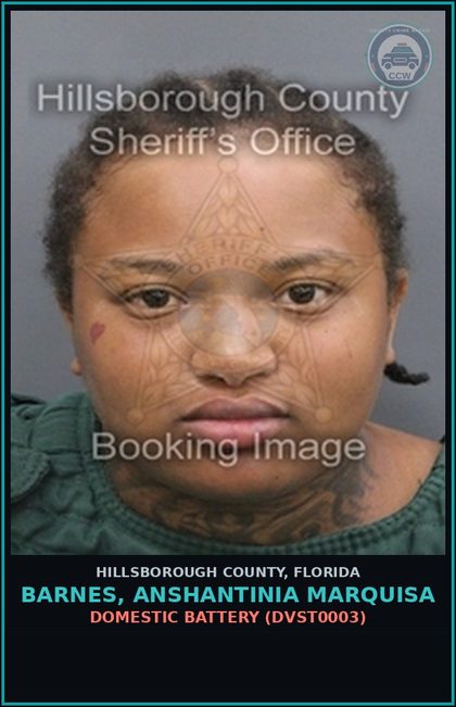 CCW arrest card for BARNES, ANSHANTINIA MARQUISA in Hillsborough County: DOMESTIC BATTERY (DVST0003)