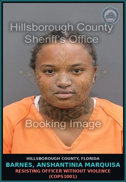 CCW arrest card for BARNES, ANSHANTINIA MARQUISA in Hillsborough County: RESISTING OFFICER WITHOUT VIOLENCE (COPS1001)