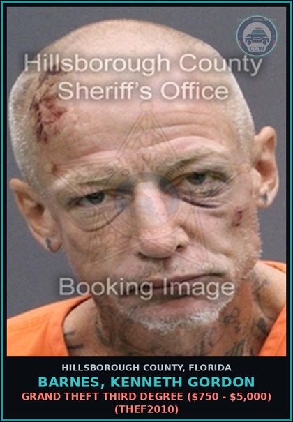 CCW arrest card for BARNES, KENNETH GORDON in Hillsborough County: GRAND THEFT THIRD DEGREE ($750 - $5,000) (THEF2010)
